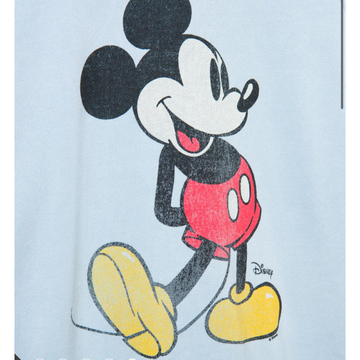 Mickey Mouse Flea Fleece